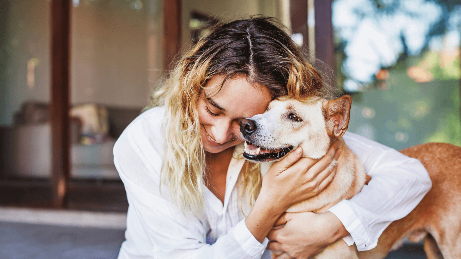 About Seneca Trail Animal Hospital Vet In Lewisburg, WV