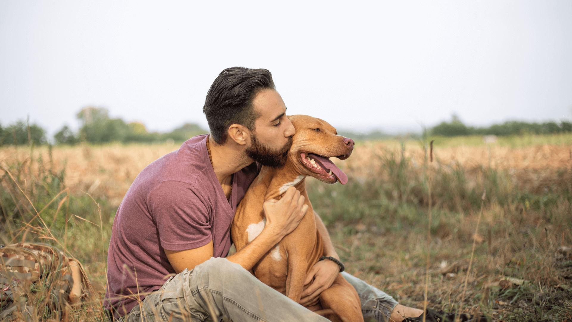 man kissing dog